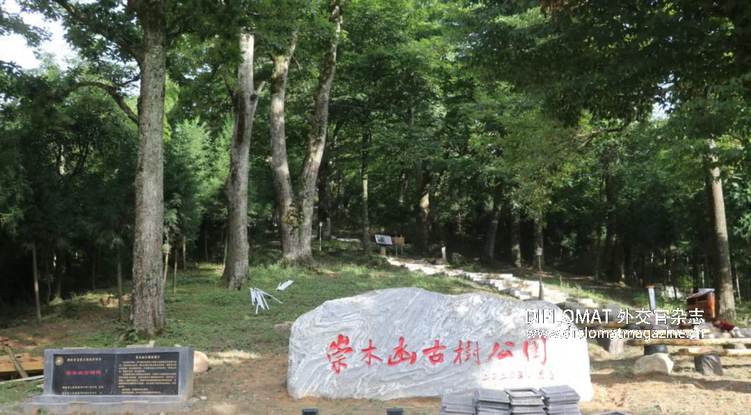 微信图片_20250815101114_30.png