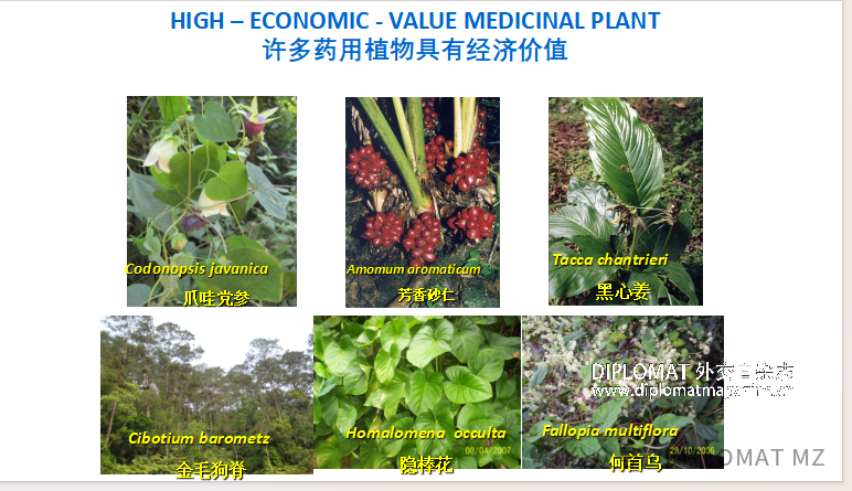 640 (1).png